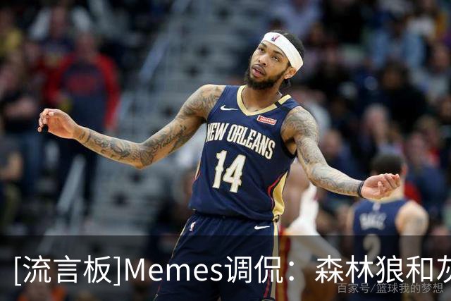 [流言板]Memes调侃：森林狼和灰熊球迷看到这张选秀图一定会晕过去